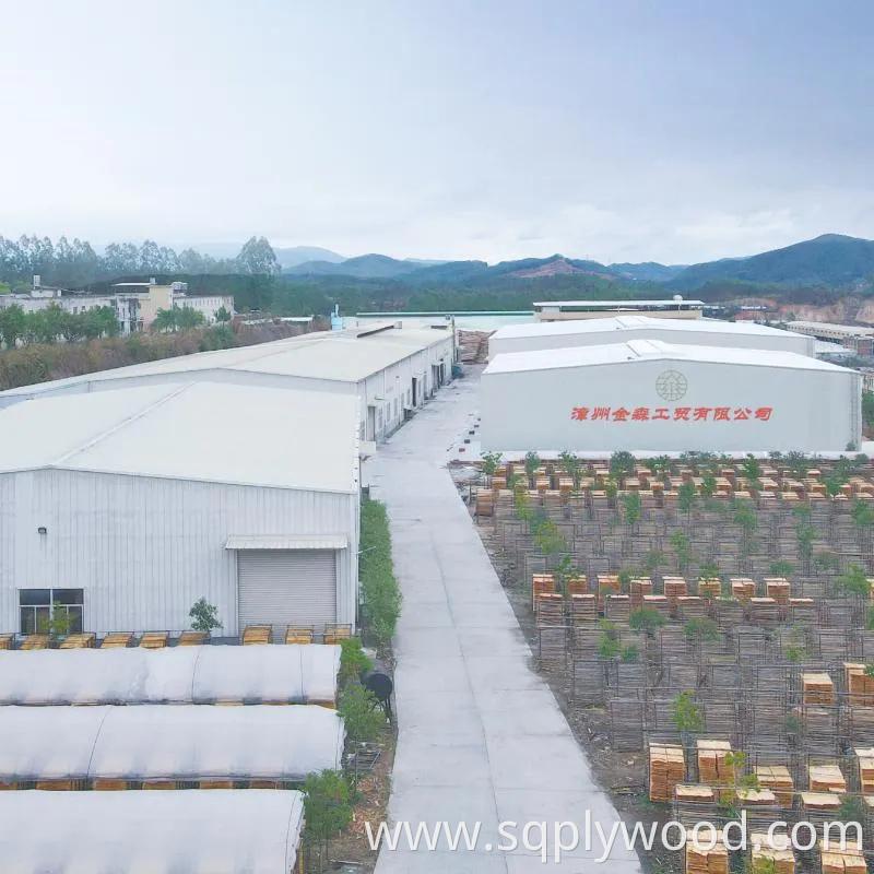 Shuttering/Marine Plywood, Construction Waterproof Film Faced Plywood for Building